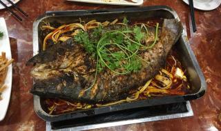 巴沙鱼烤箱做法 烤巴沙鱼的做法